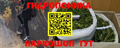 apvp Владивосток
