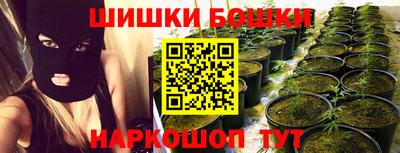 apvp Владивосток