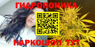 Альфа ПВП Брянск