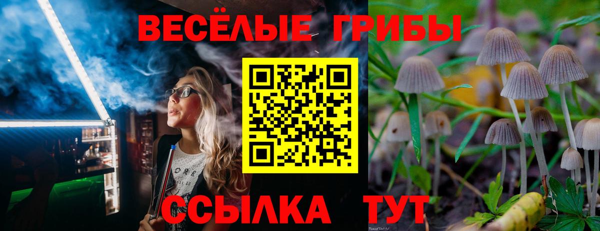 Галлюциногенные грибы мухоморы Владивосток